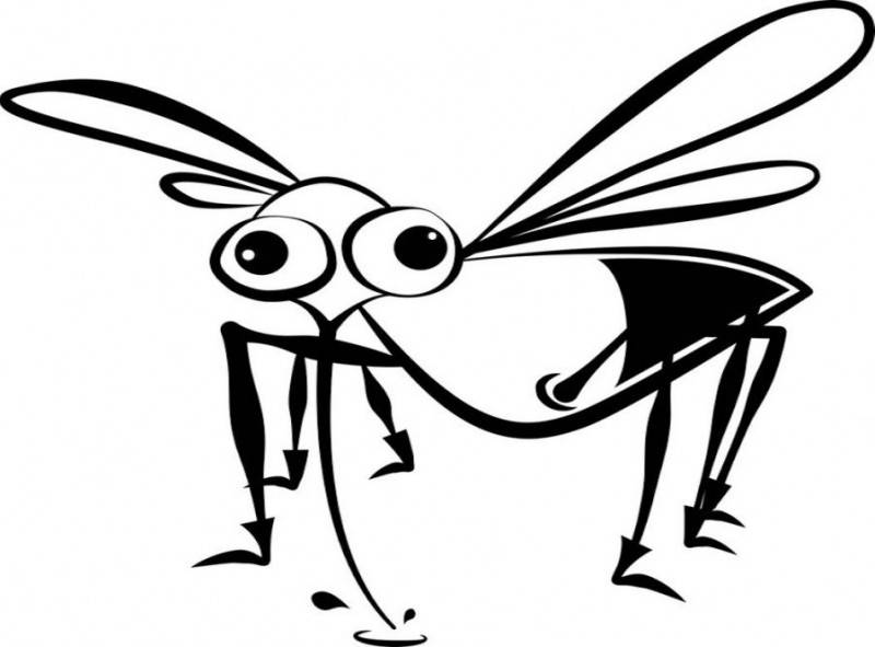 c92c69c7e5d42b1ba3911f85a79abe15.jpg